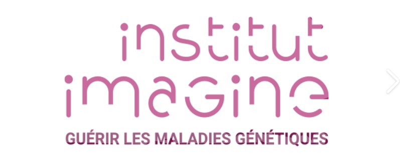 Institut Imagine